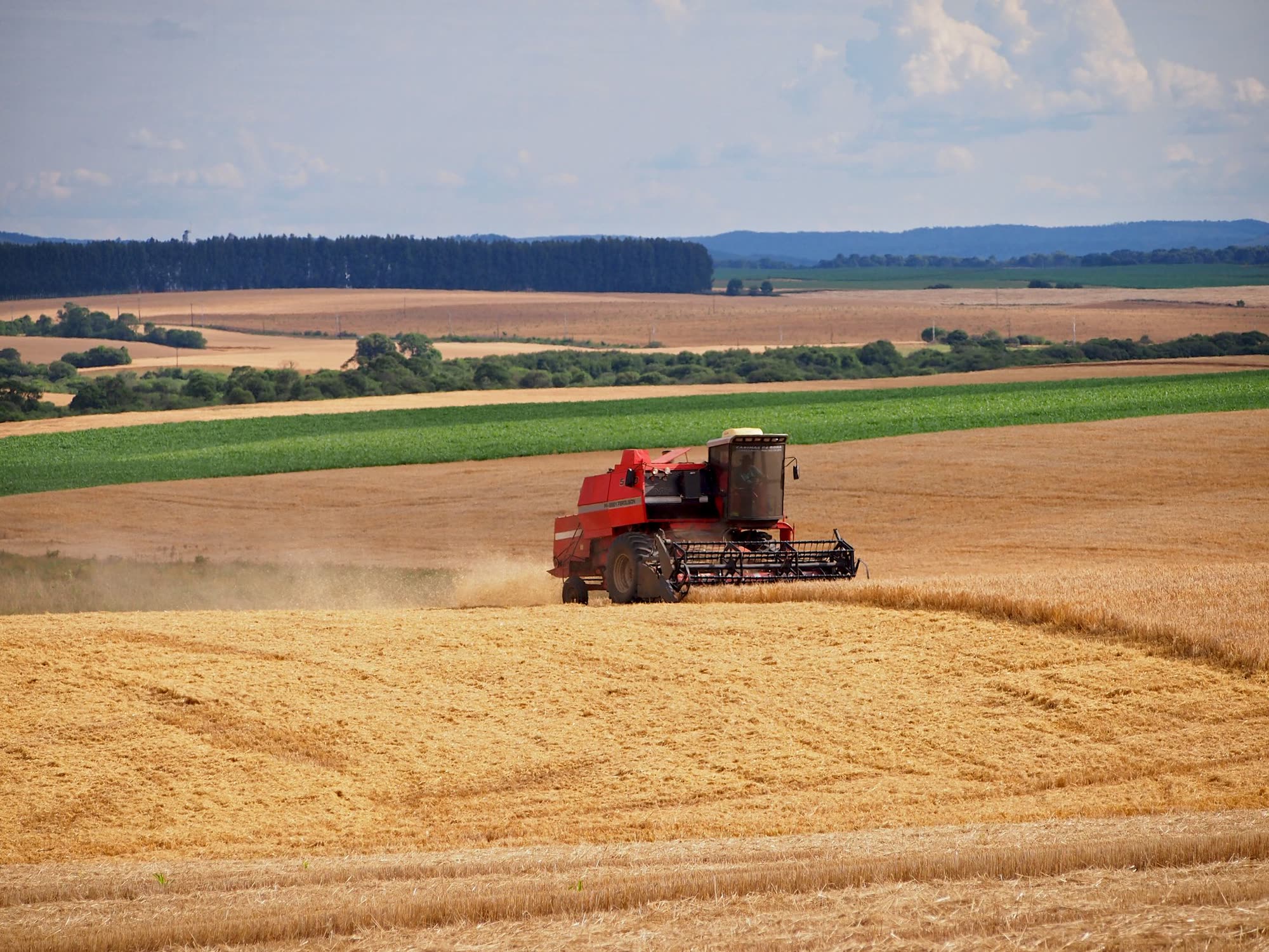 Colheitadeira trabalhando em lavoura em Entre Rios